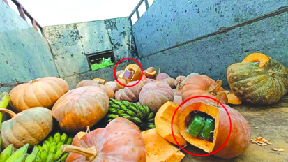 मणिपुर में कद्दू में छिपाकर रखा गया 3.5 करोड़ रुपये का ड्रग्स जब्त